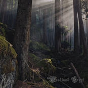 Gloomy Woodland Sepulcher