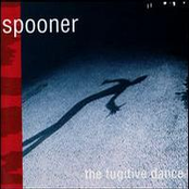 Like A Vagabond by Spooner