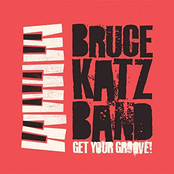Bruce Katz Band: Get Your Groove
