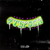 4tspoon