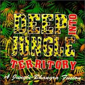 Deep Into Jungle Territory - A Jungle Bhangra Fusion