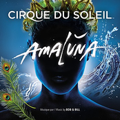 Burn Me Up by Cirque Du Soleil