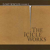 Waterline by The Icicle Works