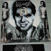 Split With Nachtfalke