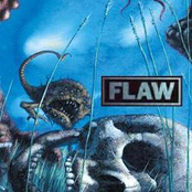 Anorexia by Flaw