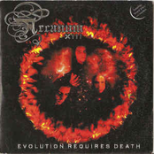 Evolution Requires Death