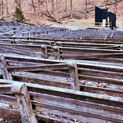 Steel String Frivolities