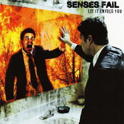 follow your bliss - the best of senses fail