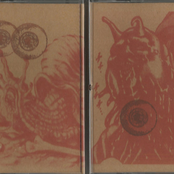 Boiled Creek Bursting Wildlife