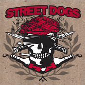 I Got Drunk by Street Dogs