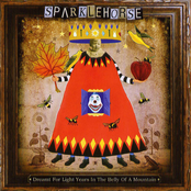 Shade And Honey by Sparklehorse