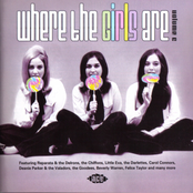 Where The Girls Are - Volume 6