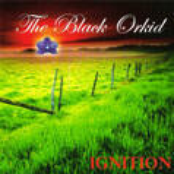Ignition