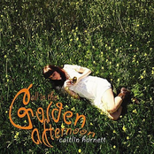 All In The Golden Afternoon - EP