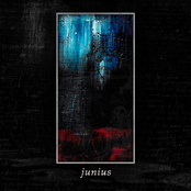 Forcing Out The Silence by Junius