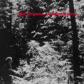 Race For Vishnu by Six Organs Of Admittance