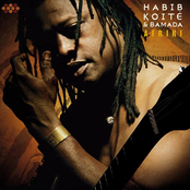 Habib Koite: Afriki