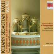 BACH: Organ Music on Silbermann Organs, Vol. 7
