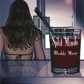 split minds