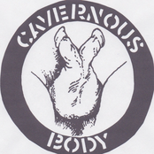 cavernous body