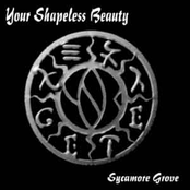 Empyreal Dispair by Your Shapeless Beauty