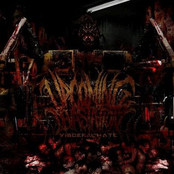 Visceral Hate