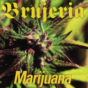 Brujeria: Marijauna