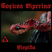 Hispida