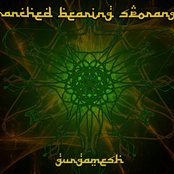 Branched Bearing Sporangia