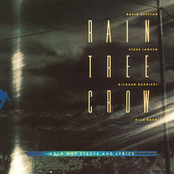 I Drink To Forget by Rain Tree Crow