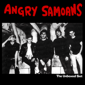 I Lost (my Mind) by Angry Samoans