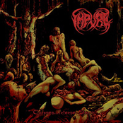 Corpses...Intense Stench