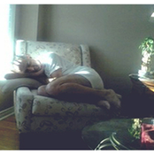 Craft Singles - CS026 - Receptors