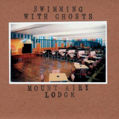 Orchestra Nightly by Swimming With Ghosts