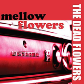 The Dead Flowers: mellow flowers