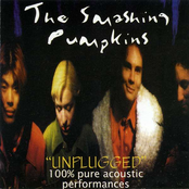 Unplugged: 100% Pure Acoustic Performances