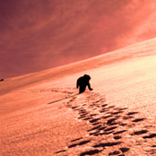 Ascension and Revelation