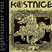 Kostnice