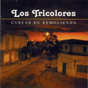 Cuecas De Remolienda