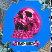 Bones