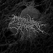 Mnemonic Wetbrain Syndrome