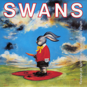 Why Are We Alive? by Swans