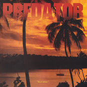 Predator Vision / Sun Araw