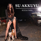 Bozuk Para