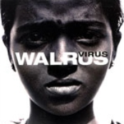 Primal by Walrus