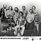 david bromberg band