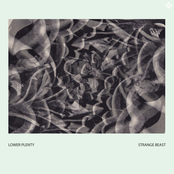 Strange Beast