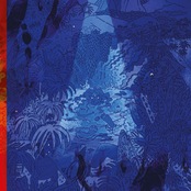 A Body Full Of Tears