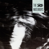 Waterboys: The Waterboys