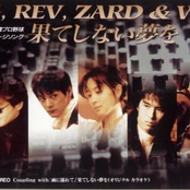 zyyg、rev、zard & wands